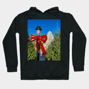 Red Bow Christmas Decoration Hoodie